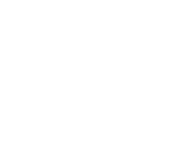 MSA Sport